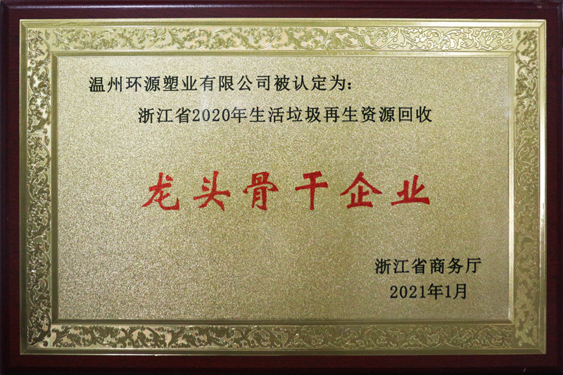  龍頭骨干企業(yè)